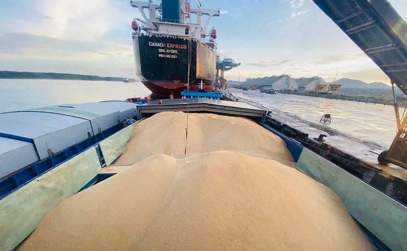 Soybean Meal cargo operation